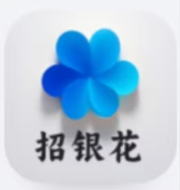 招银花